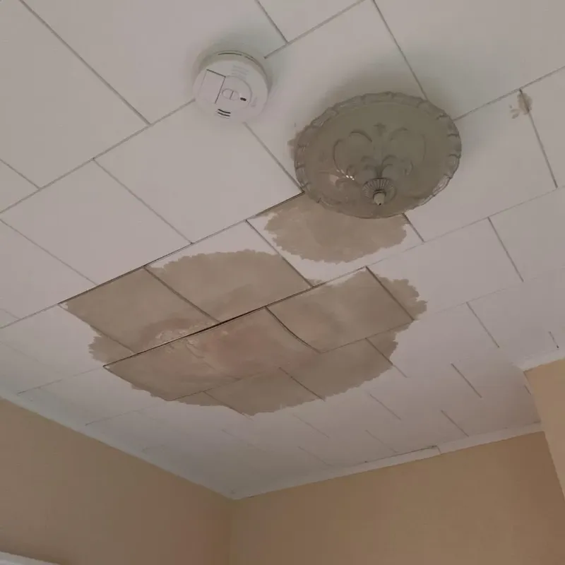 Ceiling Water Damage Repair in Broadway, VA