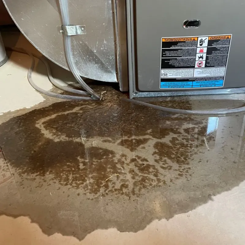 Pipe Burst and Leak Restoration in Broadway, VA