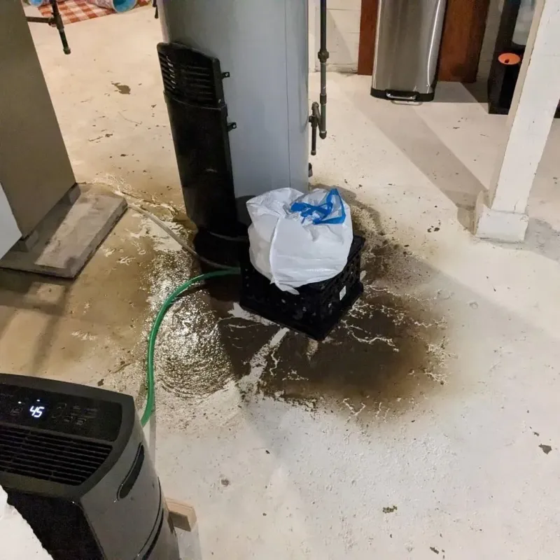 Sewage Backup Cleanup Service in Broadway, VA